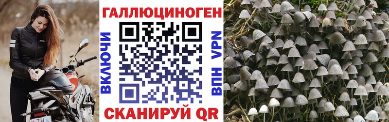 как найти закладки  Челябинск  Псилоцибиновые грибы мухоморы 